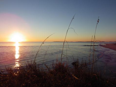 3516 Myrtle Street Edisto Beach SC 29438