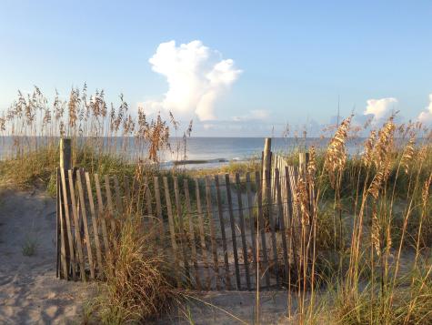 3516 Myrtle Street Edisto Beach SC 29438