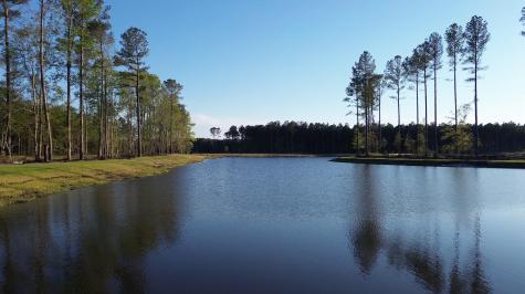 134 Summerwind Drive Summerville SC 29486
