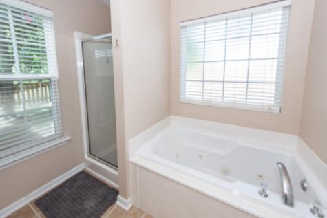 234 Everwood Court Moncks Corner SC 29461