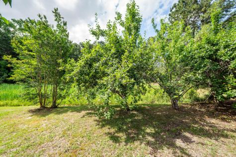234 Everwood Court Moncks Corner SC 29461