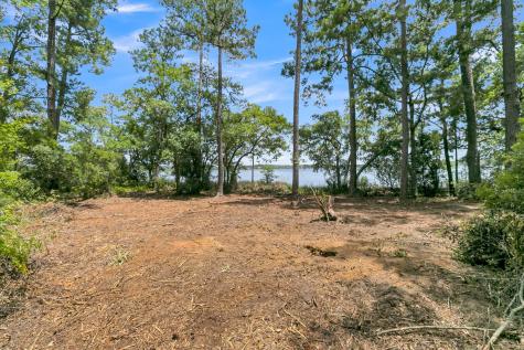 4368 Lady Banks Lane Ravenel SC 29470