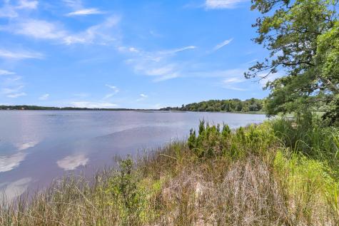 4368 Lady Banks Lane Ravenel SC 29470