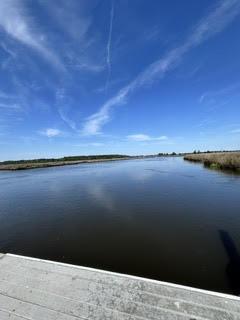 4291 Jacobs Pt Court Ravenel SC 29470