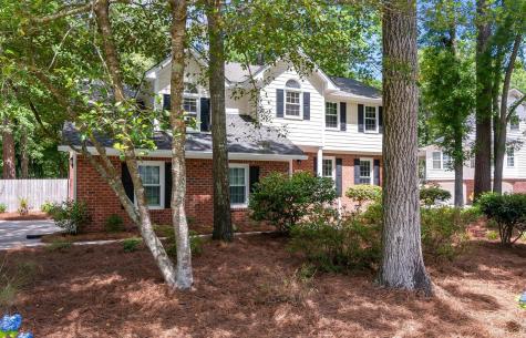 248 Brandywine Drive Summerville SC 29485