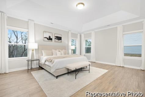 1125 Marsh Harrier Drive Ravenel SC 29470