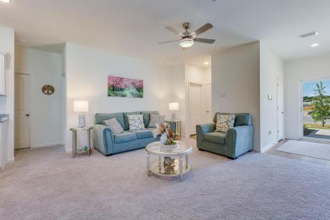 256 Phoenix Drive Summerville SC 29486