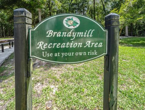 236 Smithfield Avenue Summerville SC 29485