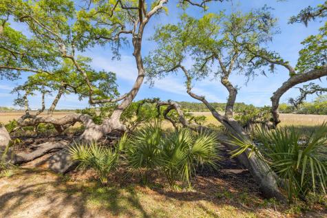 847 Dunham Street Daniel Island SC 29492