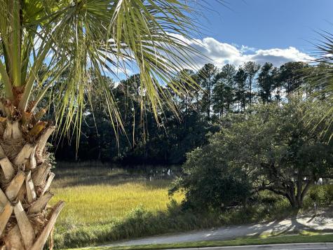 320 Longshore Street Charleston SC 29492