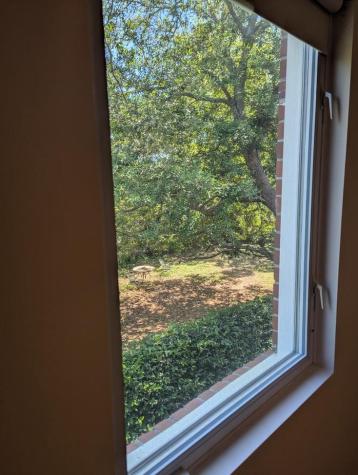 21 Hester Street Charleston SC 29403