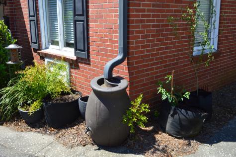 21 Hester Street Charleston SC 29403