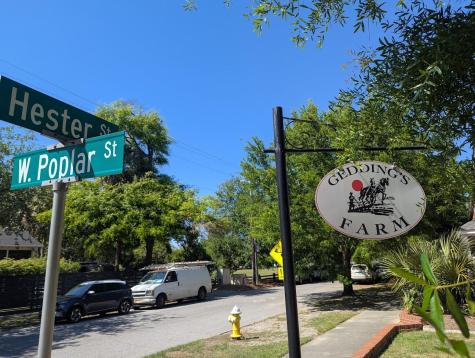 21 Hester Street Charleston SC 29403