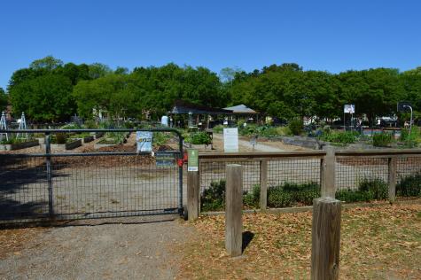 21 Hester Street Charleston SC 29403
