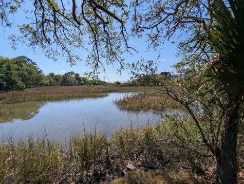 21 Hester Street Charleston SC 29403