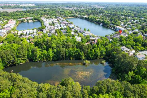 66 Sowell Street Mount Pleasant SC 29464