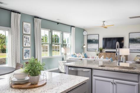 539 Red Monarch Drive Moncks Corner SC 29461