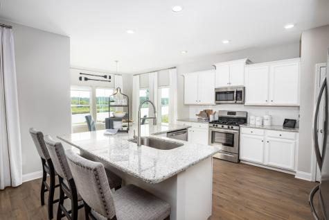 1036 Patagonia Street Summerville SC 29485