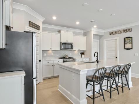 1189 Rudy Lane Mount Pleasant SC 29466
