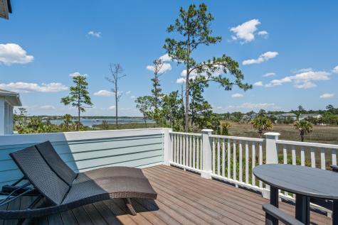 2316 Bucktail Court Mount Pleasant SC 29466