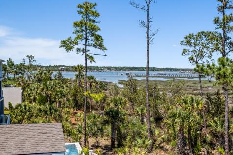 2316 Bucktail Court Mount Pleasant SC 29466