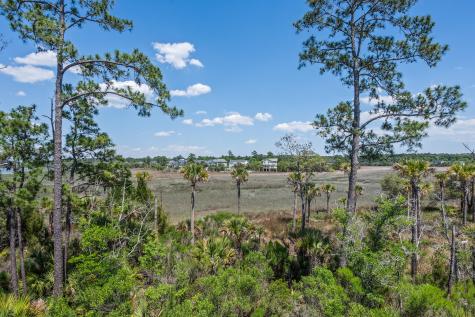 2316 Bucktail Court Mount Pleasant SC 29466