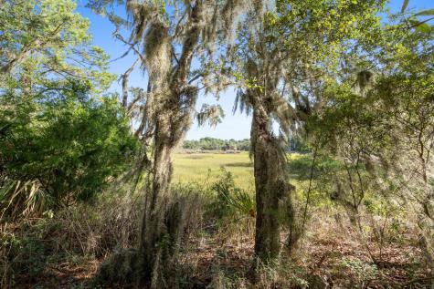 45 Drive Martin Luther King Jr. Drive Saint Helena Island SC 29920