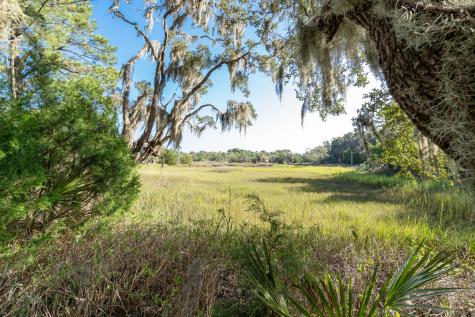 45 Drive Martin Luther King Jr. Drive Saint Helena Island SC 29920