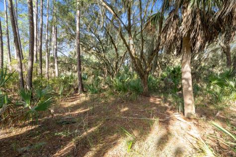 45 Drive Martin Luther King Jr. Drive Saint Helena Island SC 29920