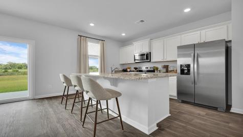 1187 Mulligan Drive Manning SC 29102