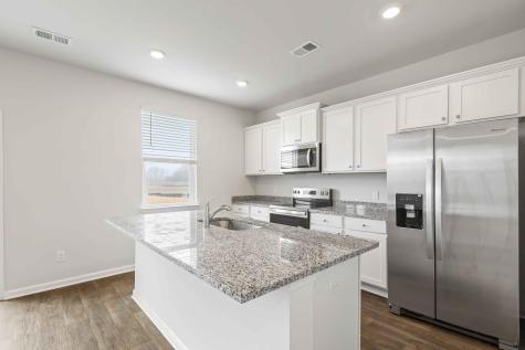 1187 Mulligan Drive Manning SC 29102