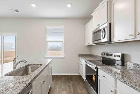 1187 Mulligan Drive Manning SC 29102