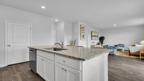 1187 Mulligan Drive Manning SC 29102