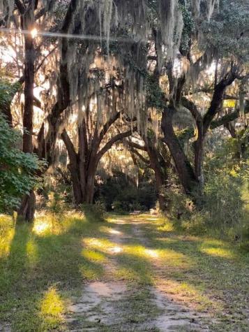 4248 Hugh Bennett Drive Johns Island SC 29455