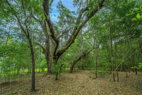 4248 Hugh Bennett Drive Johns Island SC 29455