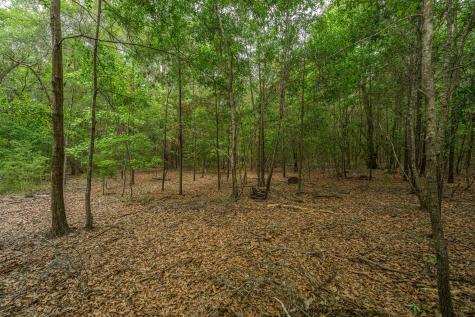 4248 Hugh Bennett Drive Johns Island SC 29455