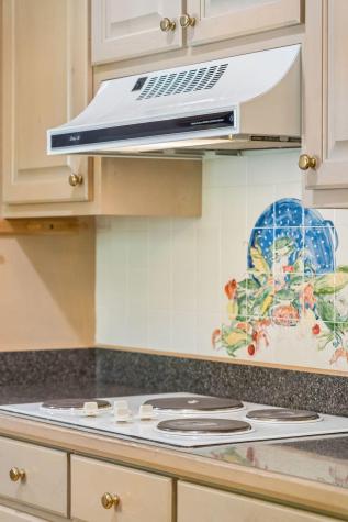 7 Sand Dollar Drive Isle Of Palms SC 29451