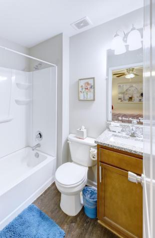 127 Fripp Lane Summerville SC 29483