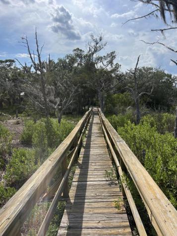 17 Blake Lane Seabrook SC 29940