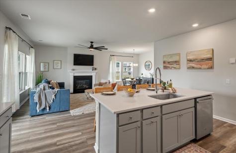 116 Camellia Bloom Drive Moncks Corner SC 29461