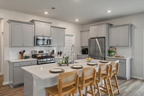 116 Camellia Bloom Drive Moncks Corner SC 29461