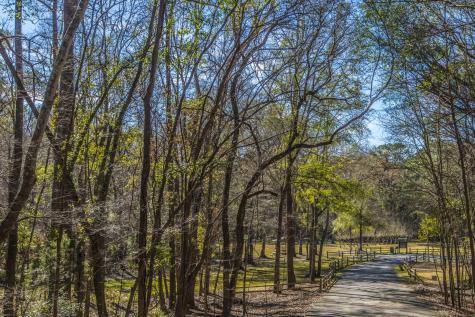 205 Woodlake Drive Summerville SC 29485