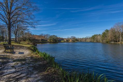205 Woodlake Drive Summerville SC 29485