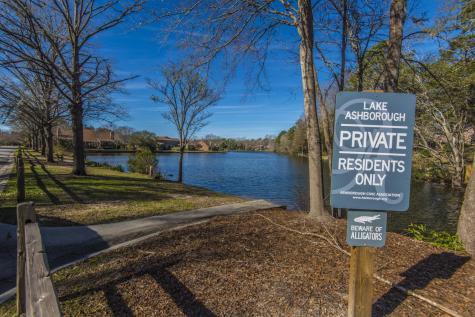 205 Woodlake Drive Summerville SC 29485
