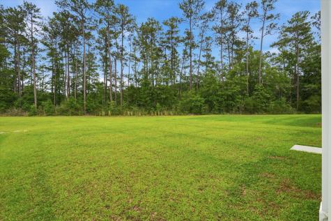 228 Wappoo Trace Lane Summerville SC 29486