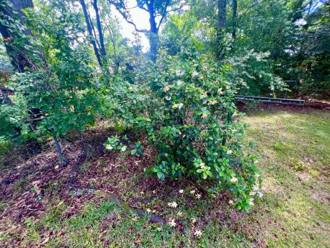 2485 Birkenhead Drive Charleston SC 29414