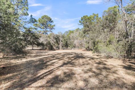 6911 Buckhorn Road Ravenel SC 29470