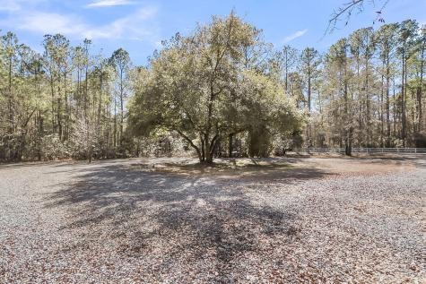 6911 Buckhorn Road Ravenel SC 29470