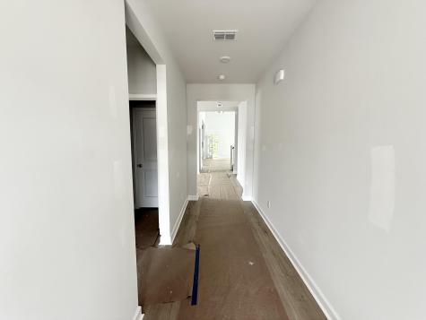 5373 Crinum Lilly Summerville SC 29485