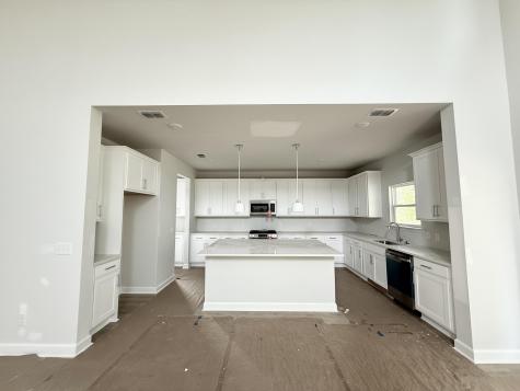 5373 Crinum Lilly Summerville SC 29485